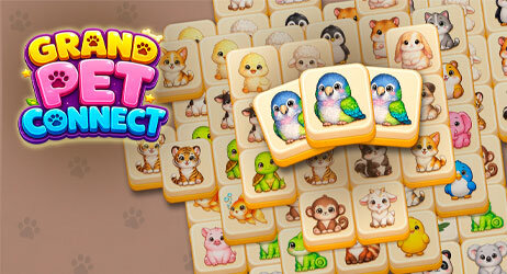 Source of Grand Pet Connect Game Image