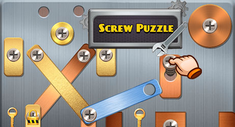 Source of Screw Puzzle Game Image