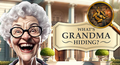 Source of What's Grandma Hiding? Game Image