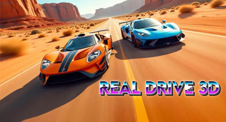 Source of Real Drive 3D Game Image