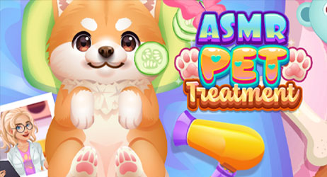 Source of ASMR Pet Treatment Game Image