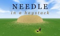 Needle in a Haystack
