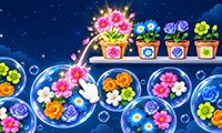 Pop Flower