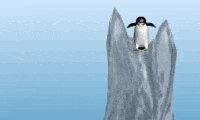 Pingu Throw