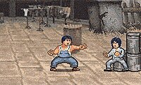 Kungfu Fighter