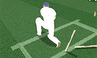 Cricket Challenge