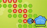 Ladybugs