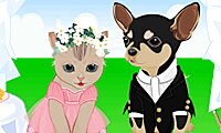 Casamento da gatinha