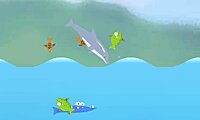 Dolphin Olympics 2
