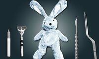 Cure the Bunny