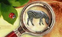 Zoo-rymning