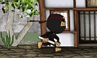 Ninja Master