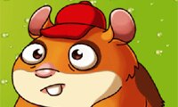 Hamster-rörmokare