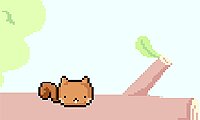 Squirrel Virtual Pet