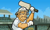 Coppa del Mondo Cricket 2011