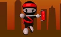 Ninjaschilder