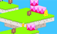 Sky Island
