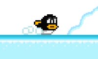 Pinguim Deslizador