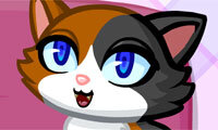 Chaton parfait
