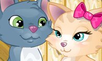 Kussende katten 2