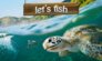 Fish Games