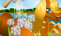 Pony Cleaning