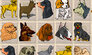Pet Games