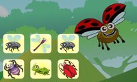 Bug Connect