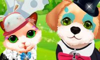 Hond en poes