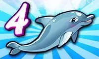 MyDolphinShow4