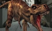 Rex in New York