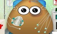Pou i ambulans