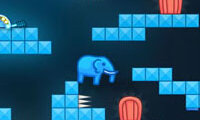 This is the only level 3