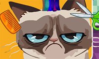 Angry Cat Hair Salon