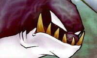 Killer whale
