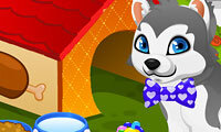 Construindo a Casinha do Filhote