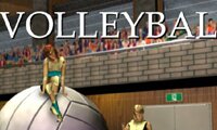 Volleyball 3D Game