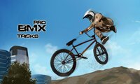 Figures de pro en BMX