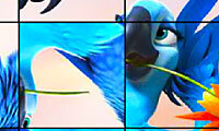 Rio Spin Puzzle