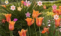 Flower Garden: Hidden Object