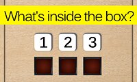 What's Inside the Box