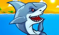 Shark Attack