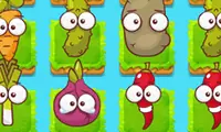 Plant Evolution