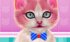 Игры Кошки