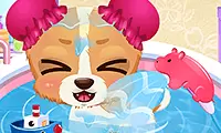 Puppy Fun Care