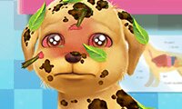 Pet Games - Free online games at GamesGames.com