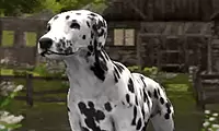 Dog Simulator 3D