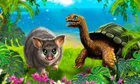 My Free Zoo