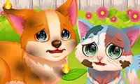 Funny Rescue Pet
