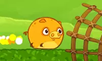 Mango Piggy Piggy: Farm Harvest